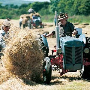 Foto François Berléand