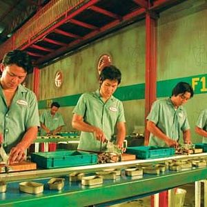 Foto Wisit Sasanatieng