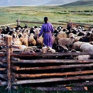 Foto Byambasuren Davaa