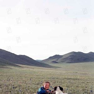 Foto Byambasuren Davaa