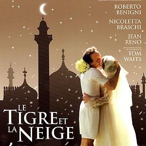 Foto El tigre y la nieve