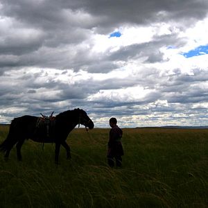 Foto Ping Pong Mongol