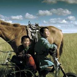 Foto Ping Pong Mongol