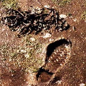 Foto Johan van der Keuken