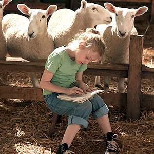 Foto La telaraña de Carlota