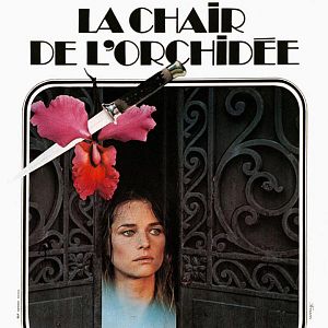 Foto La carne de la orquídea