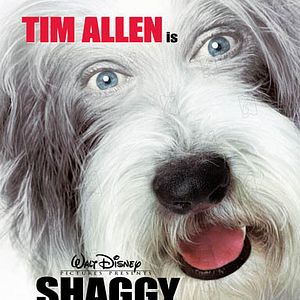 Foto Cariño, estoy hecho un perro