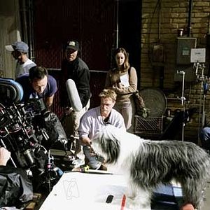 Foto Cariño, estoy hecho un perro