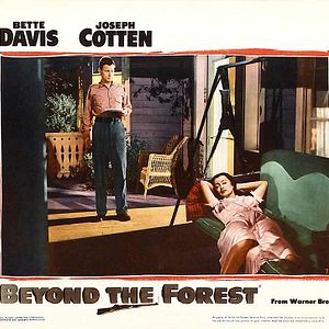 Foto Más allá del bosque