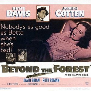 Foto Más allá del bosque