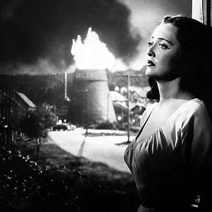 Foto Más allá del bosque