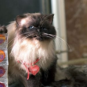 Foto Jason Friedberg