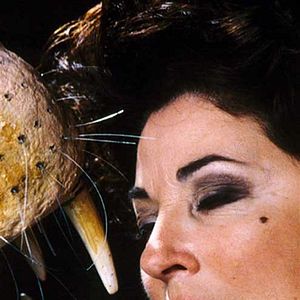 Foto C'est pas tout à fait la vie dont j'avais rêvé