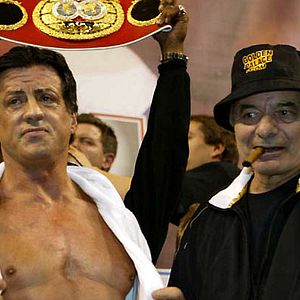 Foto Sylvester Stallone