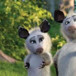 Foto Vecinos invasores