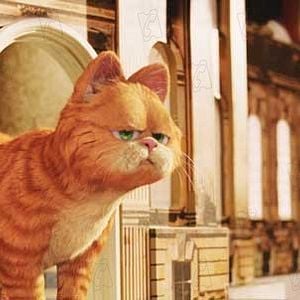 Foto Garfield 2
