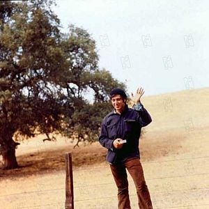 Foto Espantapájaros