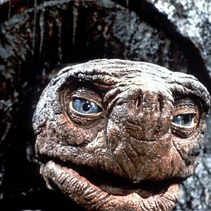 Foto Wolfgang Petersen