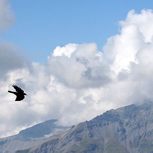 Foto La aventura de Los Águilas