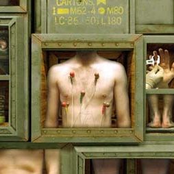 Foto Across the Universe