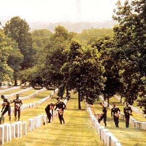 Foto Jardines de piedra
