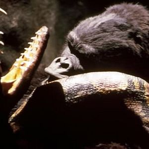 Foto John Guillermin