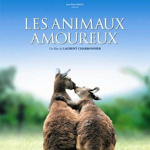 Foto Laurent Charbonnier