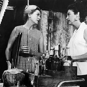 Foto La noche de la iguana