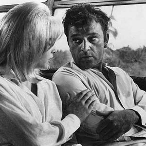 Foto La noche de la iguana