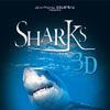 Foto Tiburones 3D