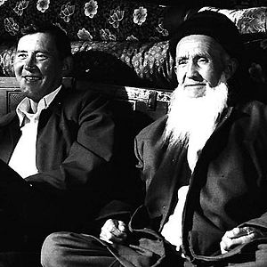 Foto 37 Uses For A Dead Sheep