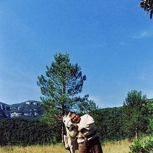 Foto Honor de cavallería