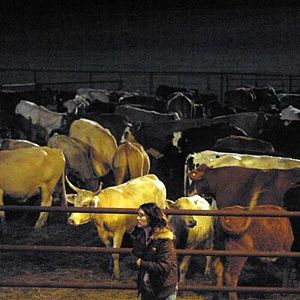 Foto Fast Food Nation