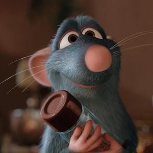 Foto Ratatouille