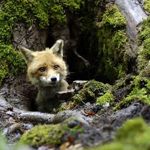 Foto Una amistad inolvidable