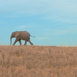 Foto Mario Andreacchio