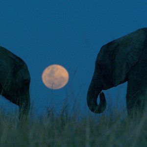 Foto Mario Andreacchio