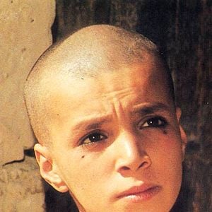 Foto Los balizadores del desierto