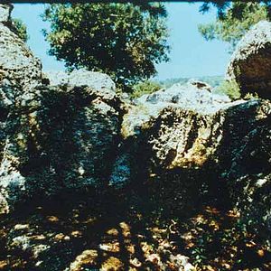 Foto Danièle Huillet