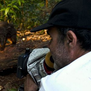 Foto El camino de San Diego