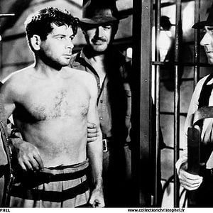 Foto Soy un fugitivo