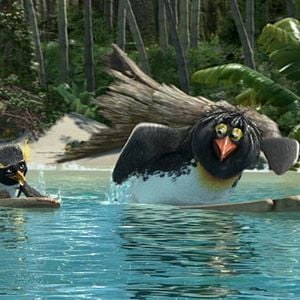 Foto Locos por el surf