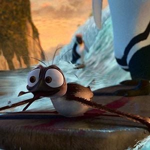 Foto Locos por el surf