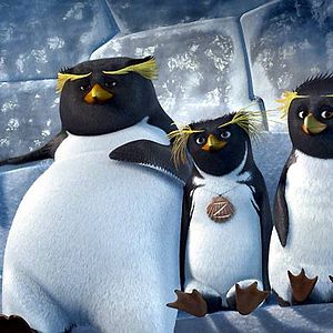 Foto Locos por el surf