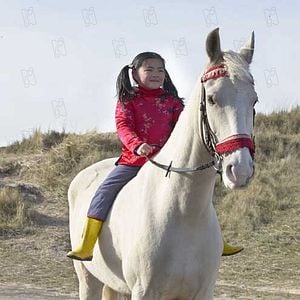 Foto Winky y el Caballo Mágico