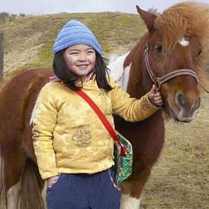 Foto Winky y el Caballo Mágico