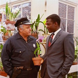 Foto En el calor de la noche