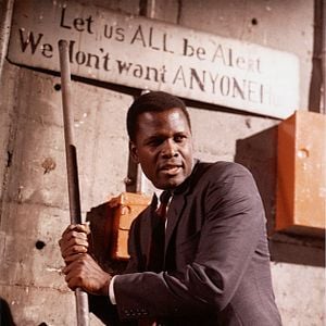 Foto En el calor de la noche