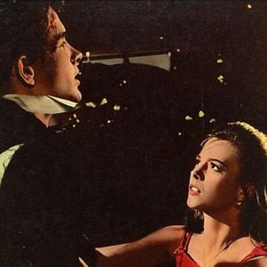 Foto Esplendor en la hierba