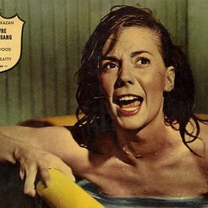 Foto Esplendor en la hierba